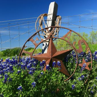 Bluebonnet flowers around a round metal sign featuring a star and the word Texas