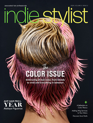 Indie Stylist Cover - Building your brand has never been easier